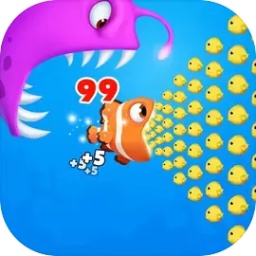 bob sport官网